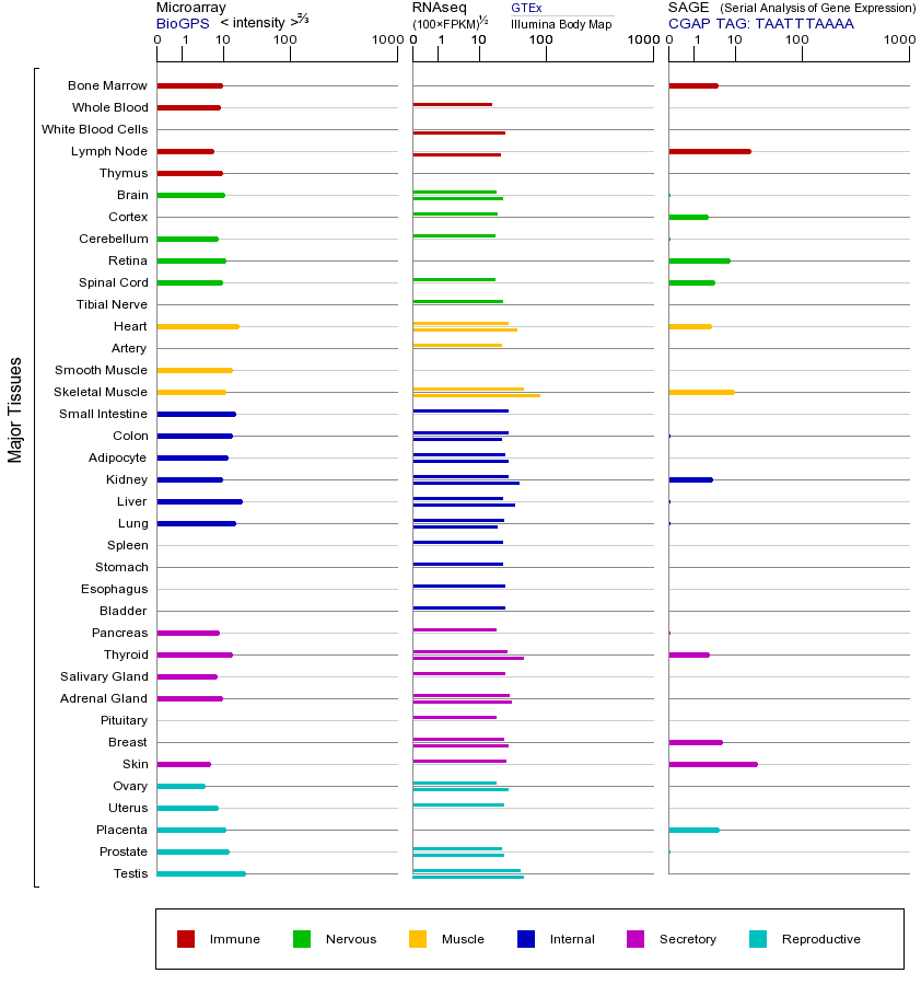 Gene expression across tissues