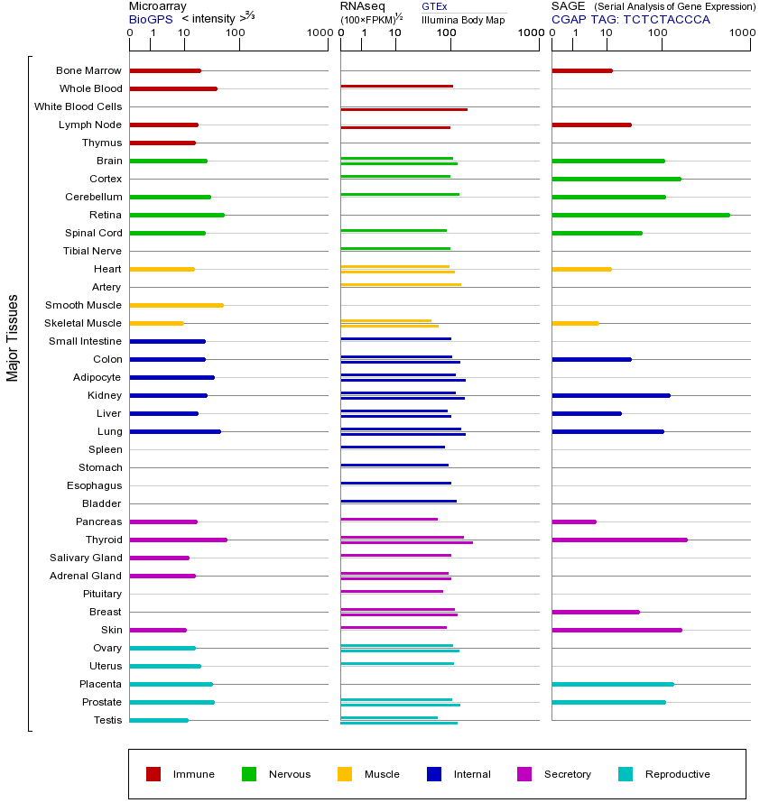 Gene expression across tissues