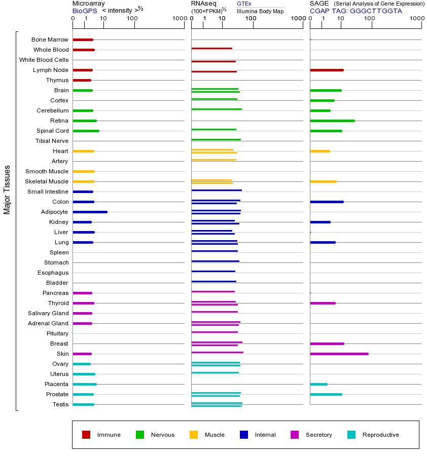Gene expression across tissues