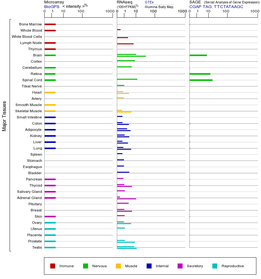 Gene expression across tissues