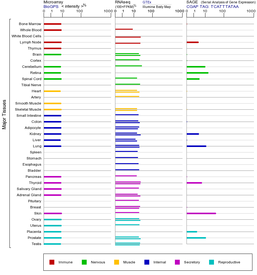 Gene expression across tissues