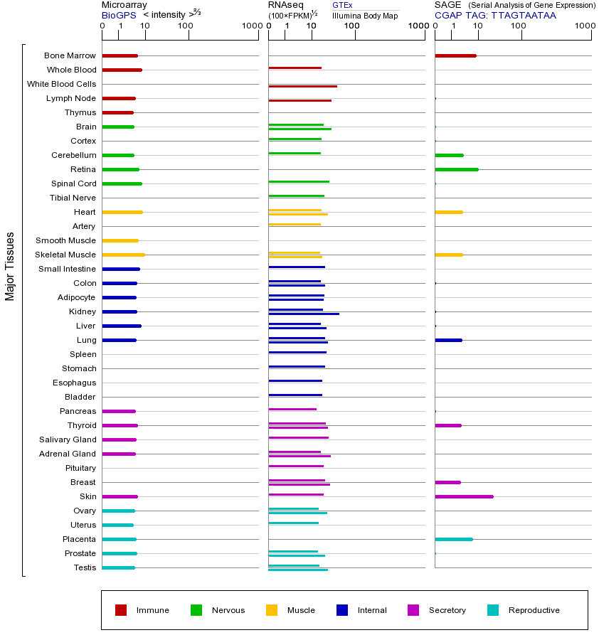 Gene expression across tissues