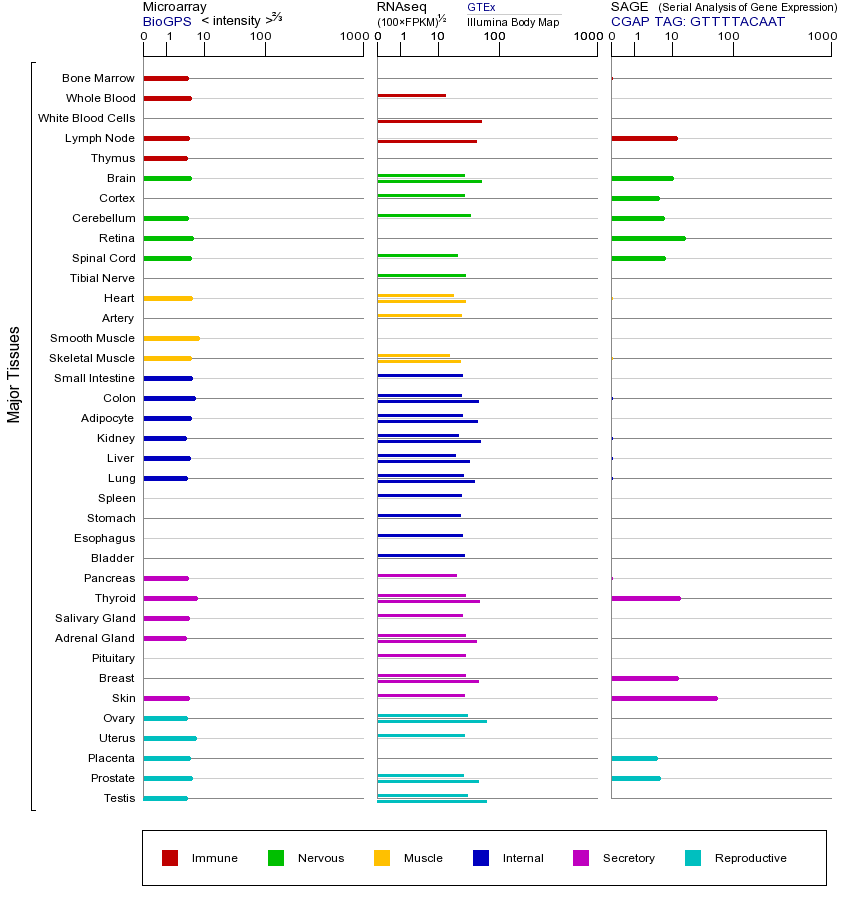 Gene expression across tissues