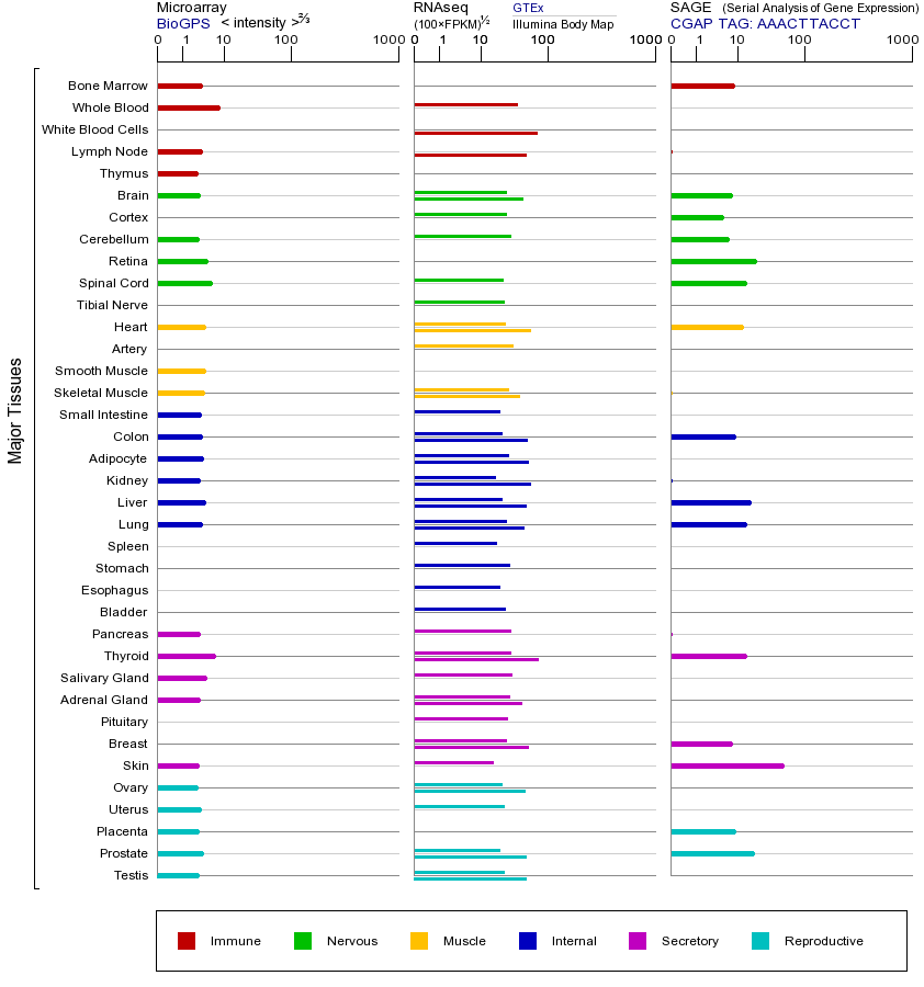 基因在不同组织中的表达图