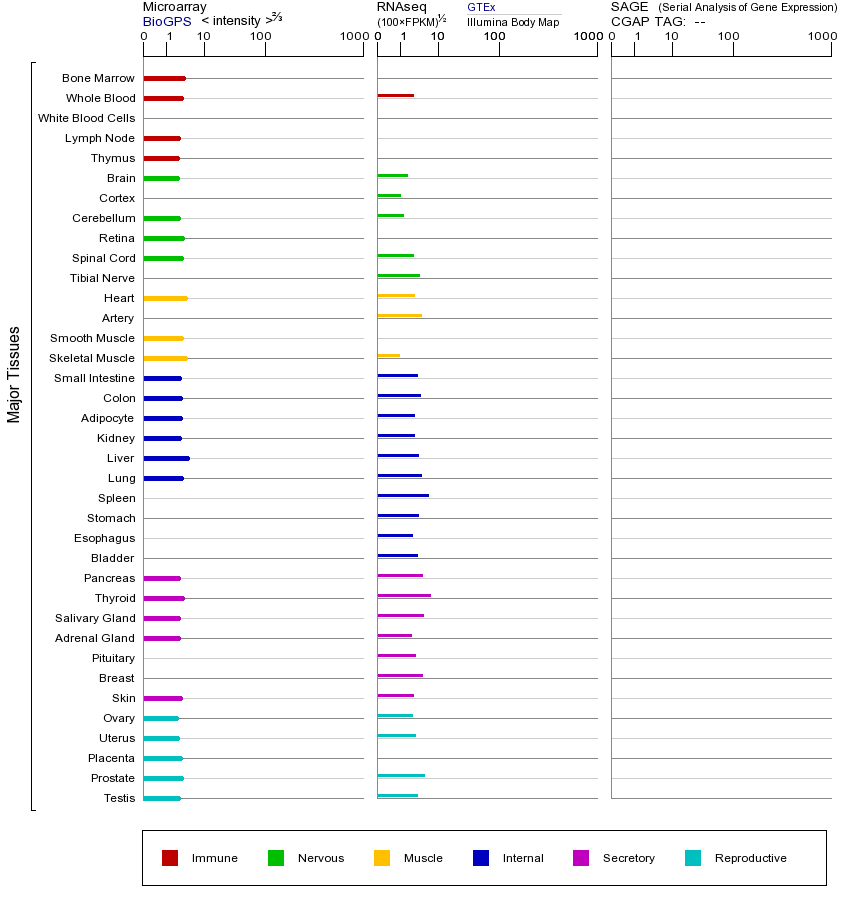 基因在不同组织中的表达图