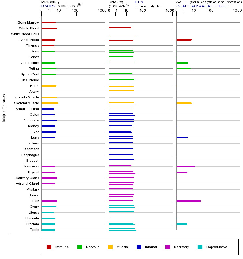 基因在不同组织中的表达图