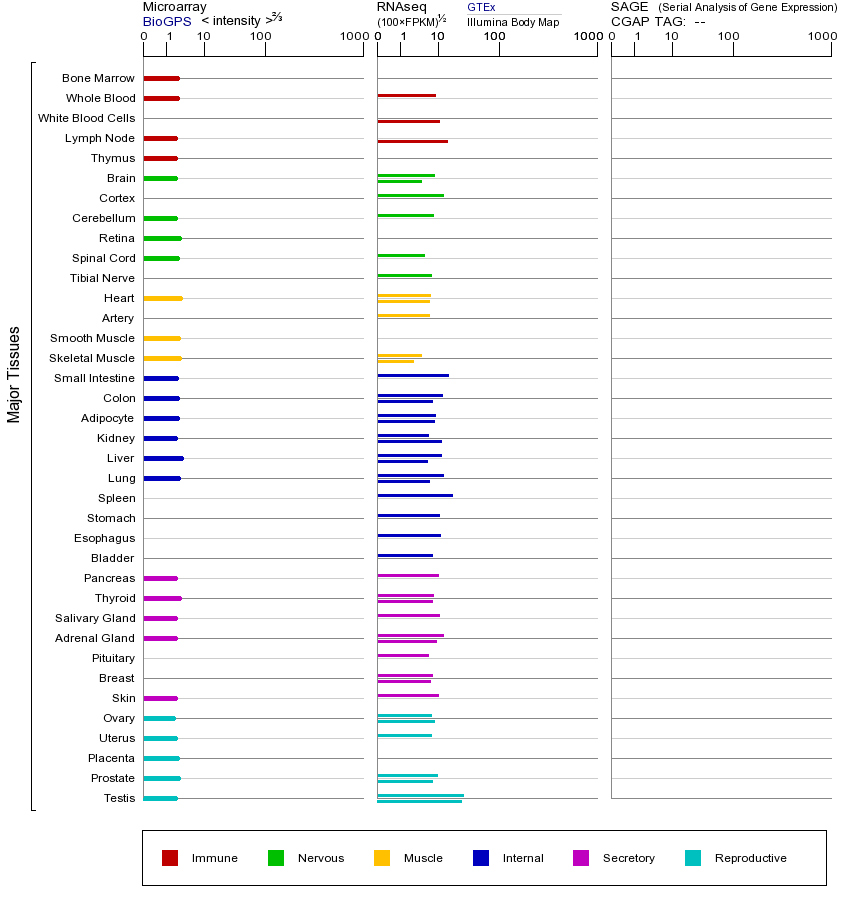 基因在不同组织中的表达图