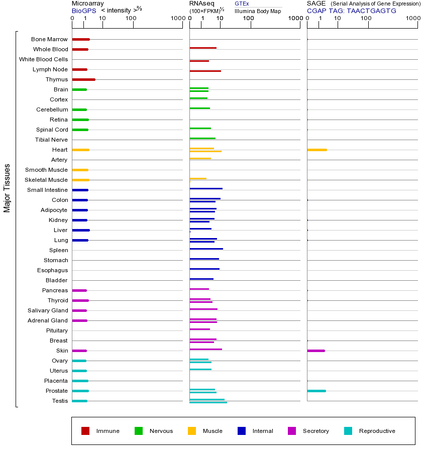 Gene expression across tissues