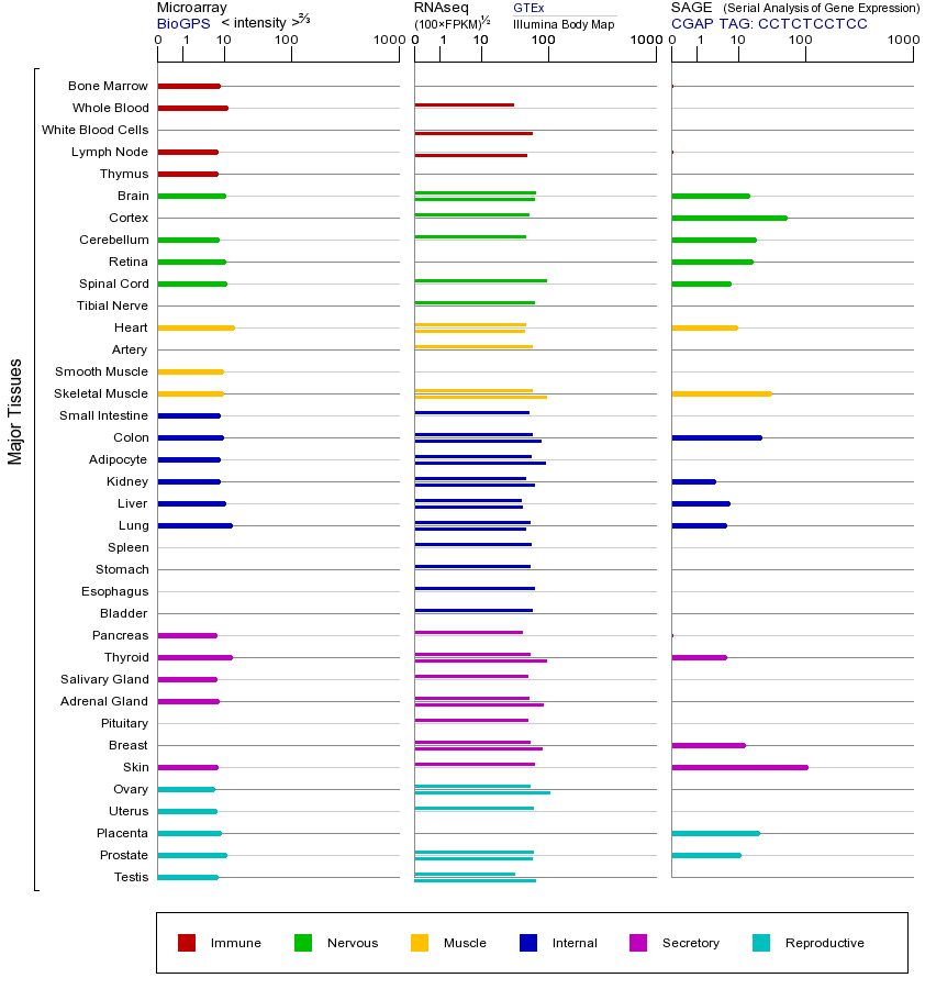 Gene expression across tissues
