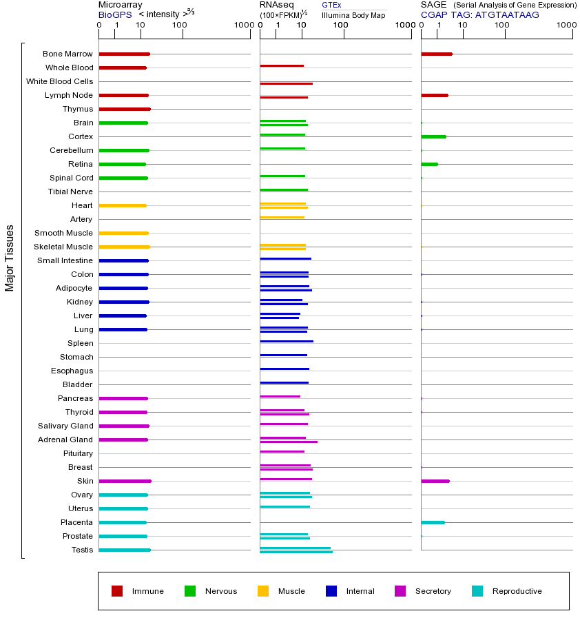 Gene expression across tissues