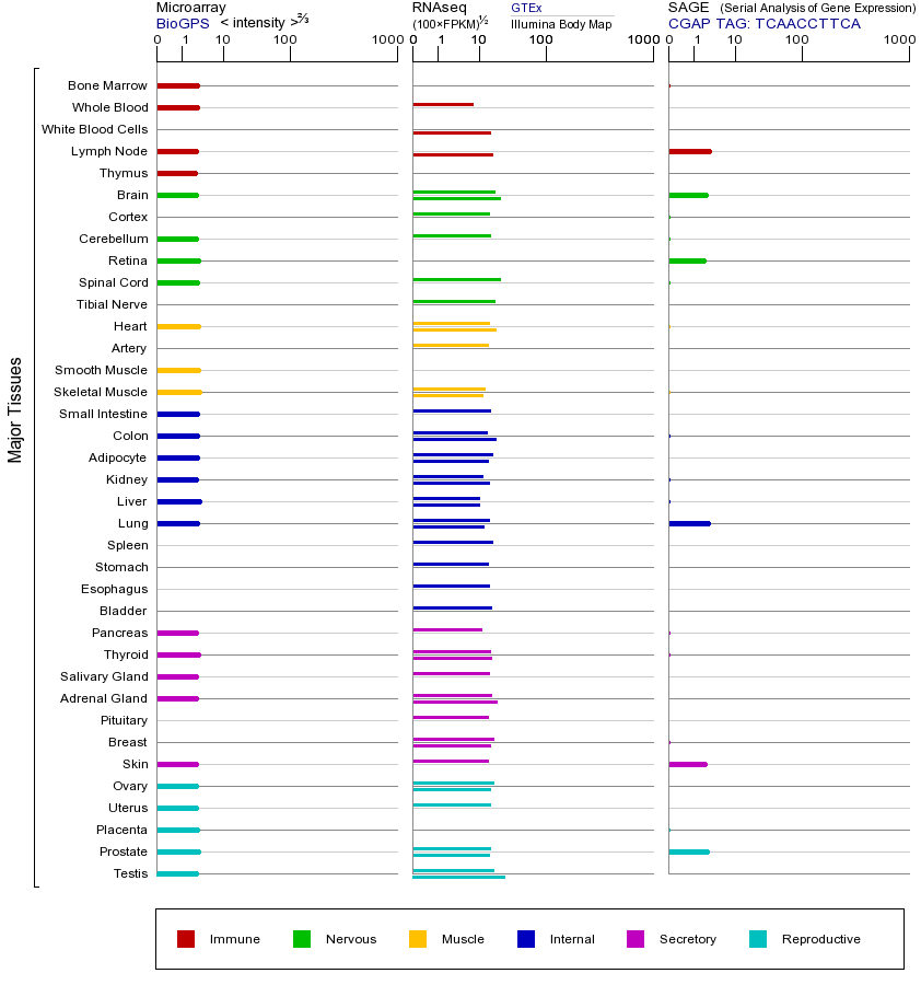Gene expression across tissues