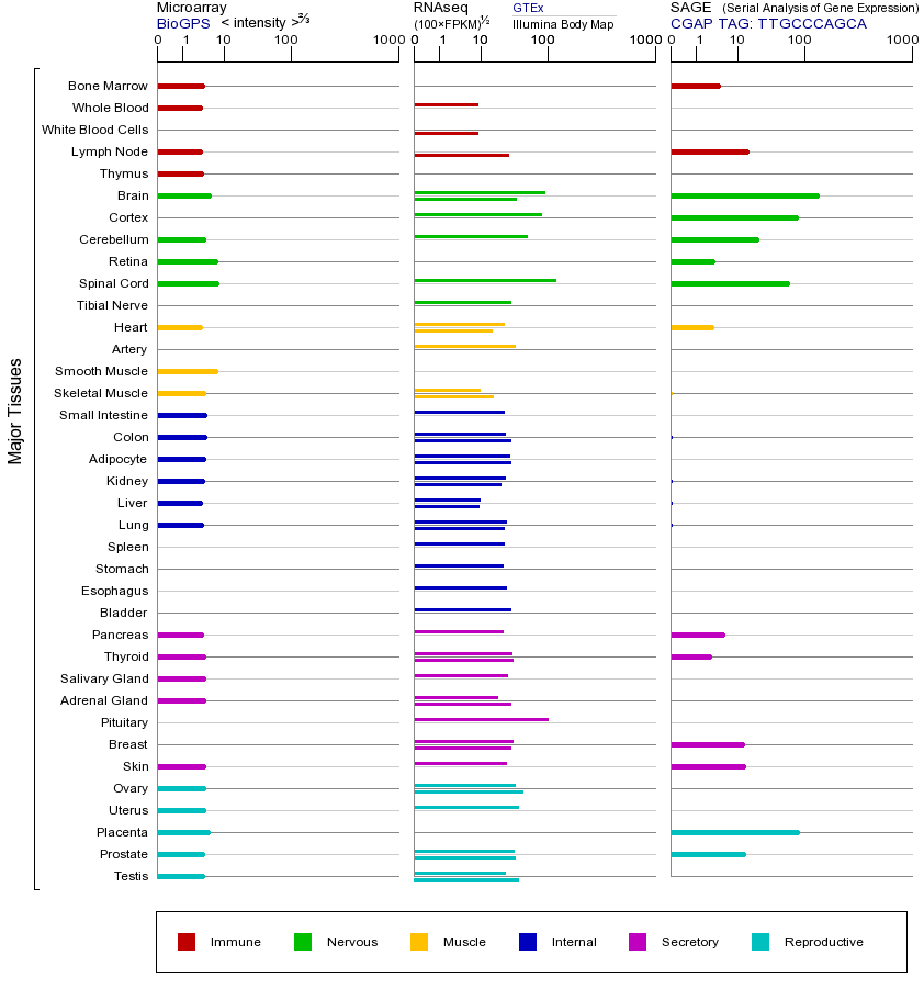 基因在不同组织中的表达图