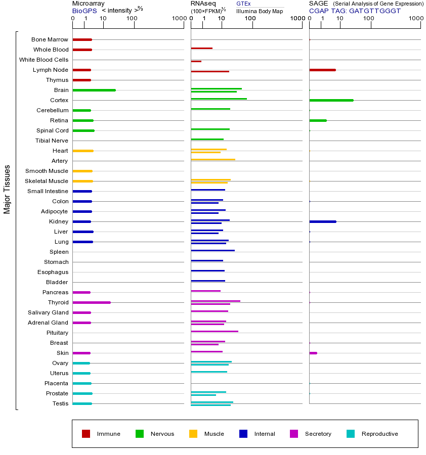 Gene expression across tissues