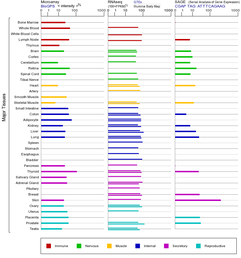 Gene expression across tissues