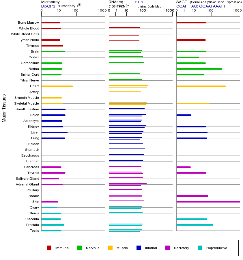 Gene expression across tissues