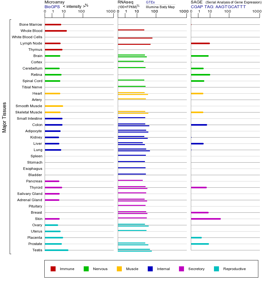 Gene expression across tissues