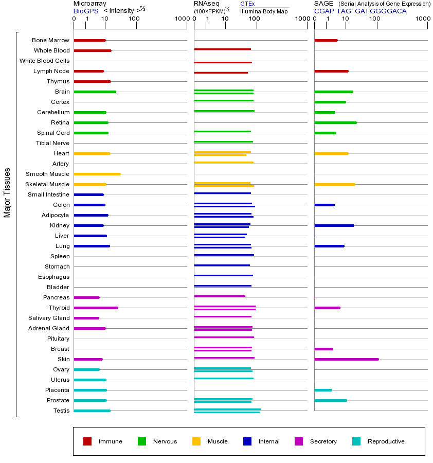 Gene expression across tissues