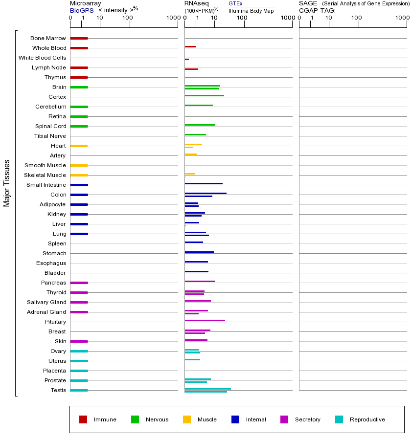 基因在不同组织中的表达图