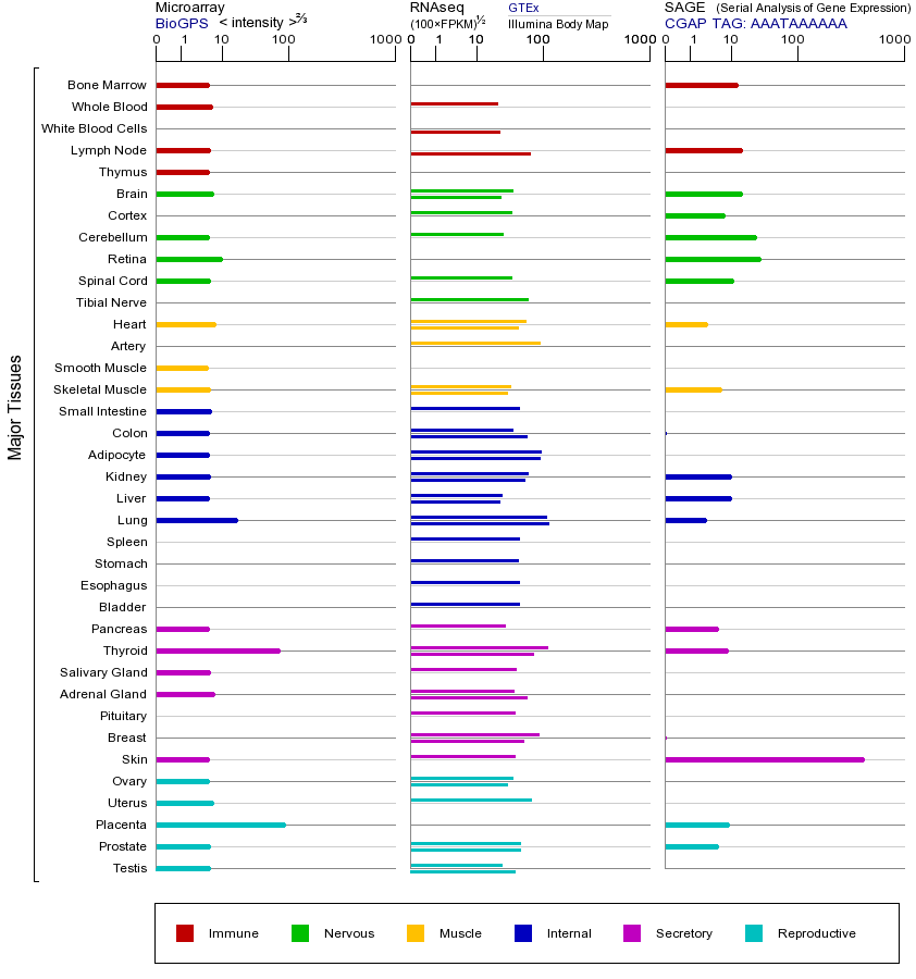 基因在不同组织中的表达图