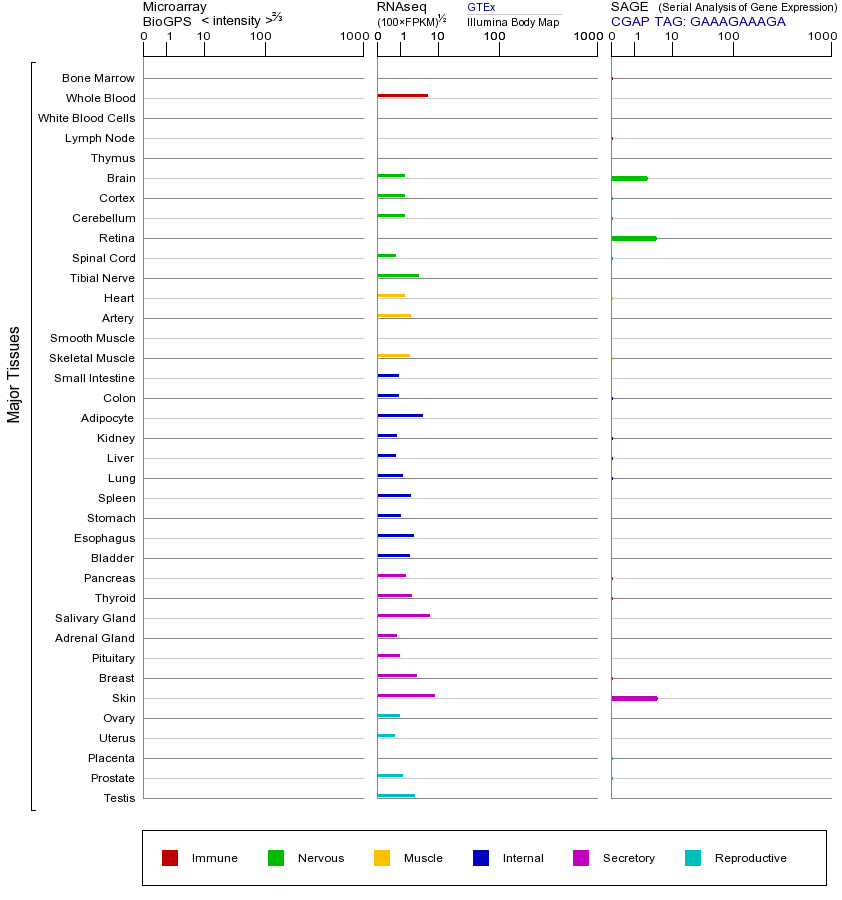 基因在不同组织中的表达图