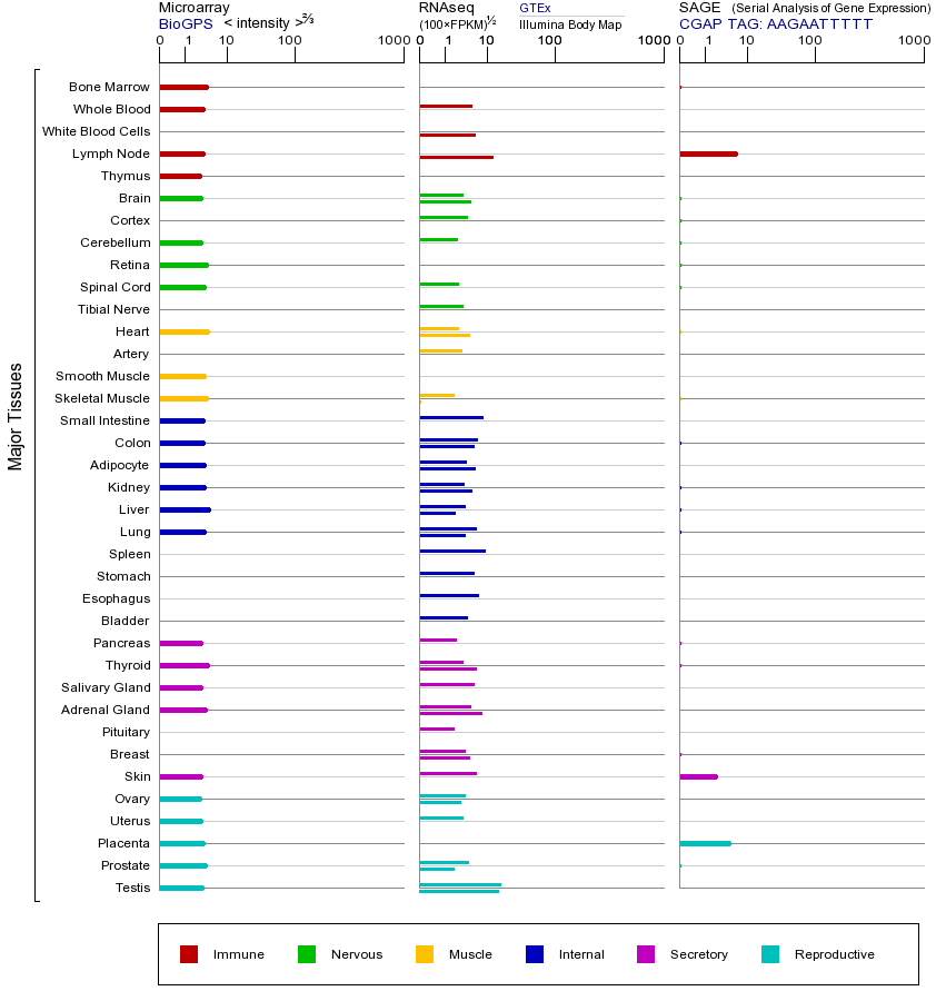 Gene expression across tissues