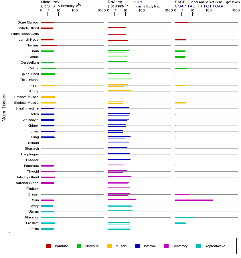 Gene expression across tissues