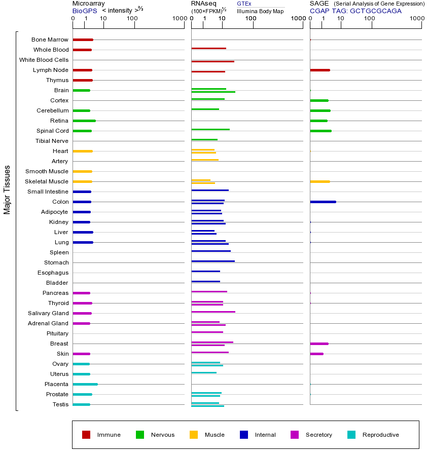 Gene expression across tissues