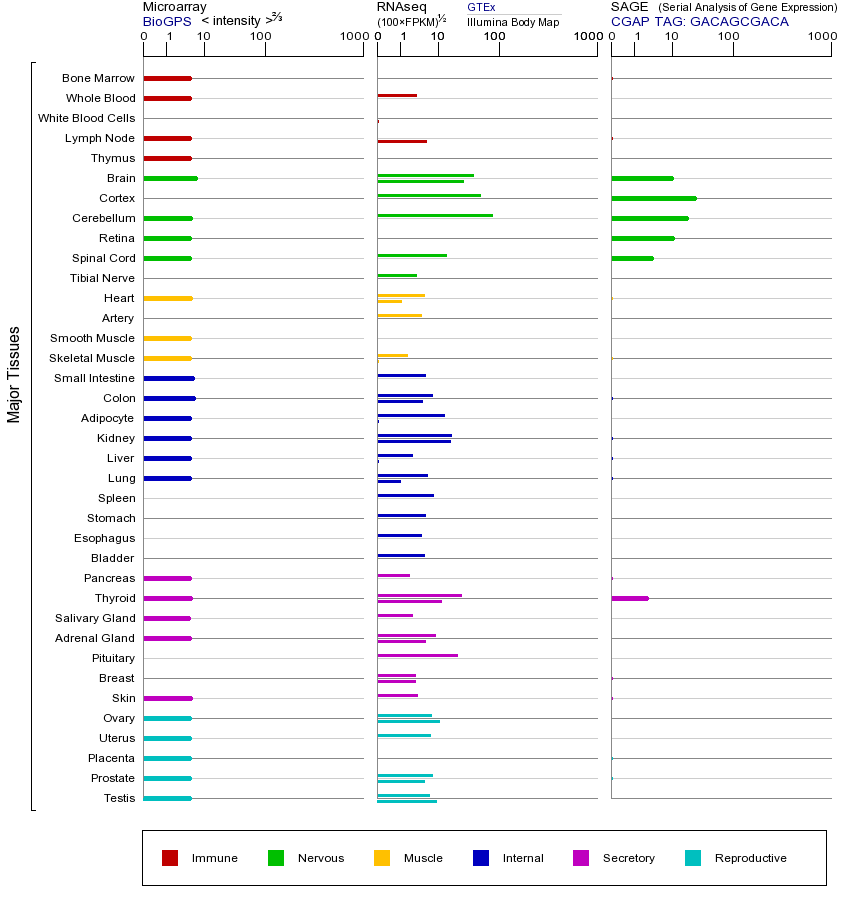 Gene expression across tissues