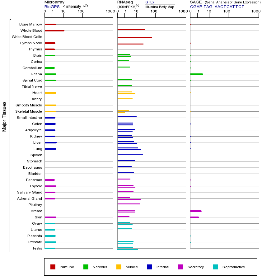 基因在不同组织中的表达图