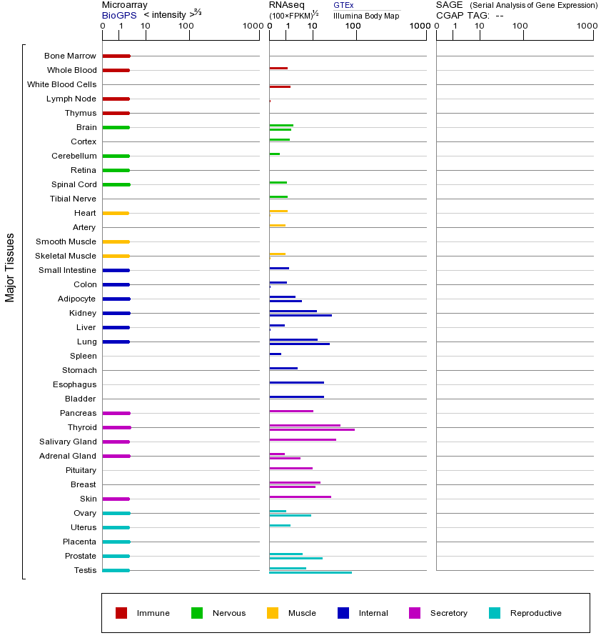 基因在不同组织中的表达图