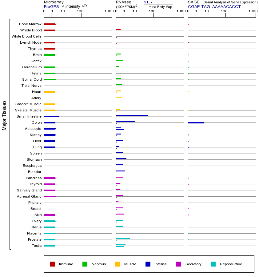 基因在不同组织中的表达图