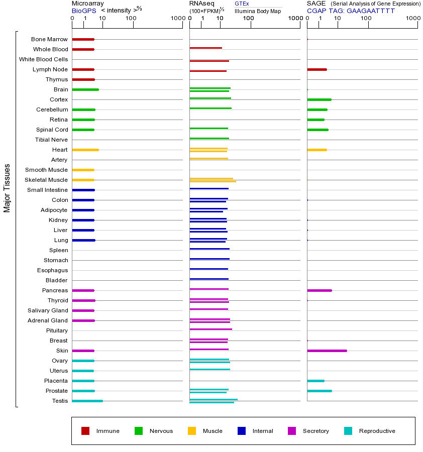 基因在不同组织中的表达图