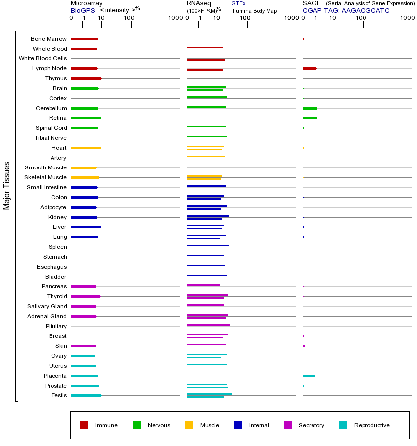 Gene expression across tissues