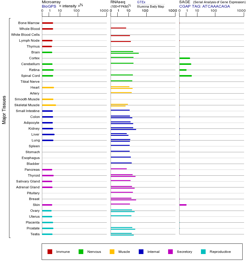 Gene expression across tissues