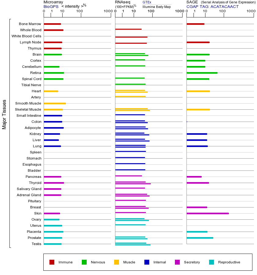 Gene expression across tissues