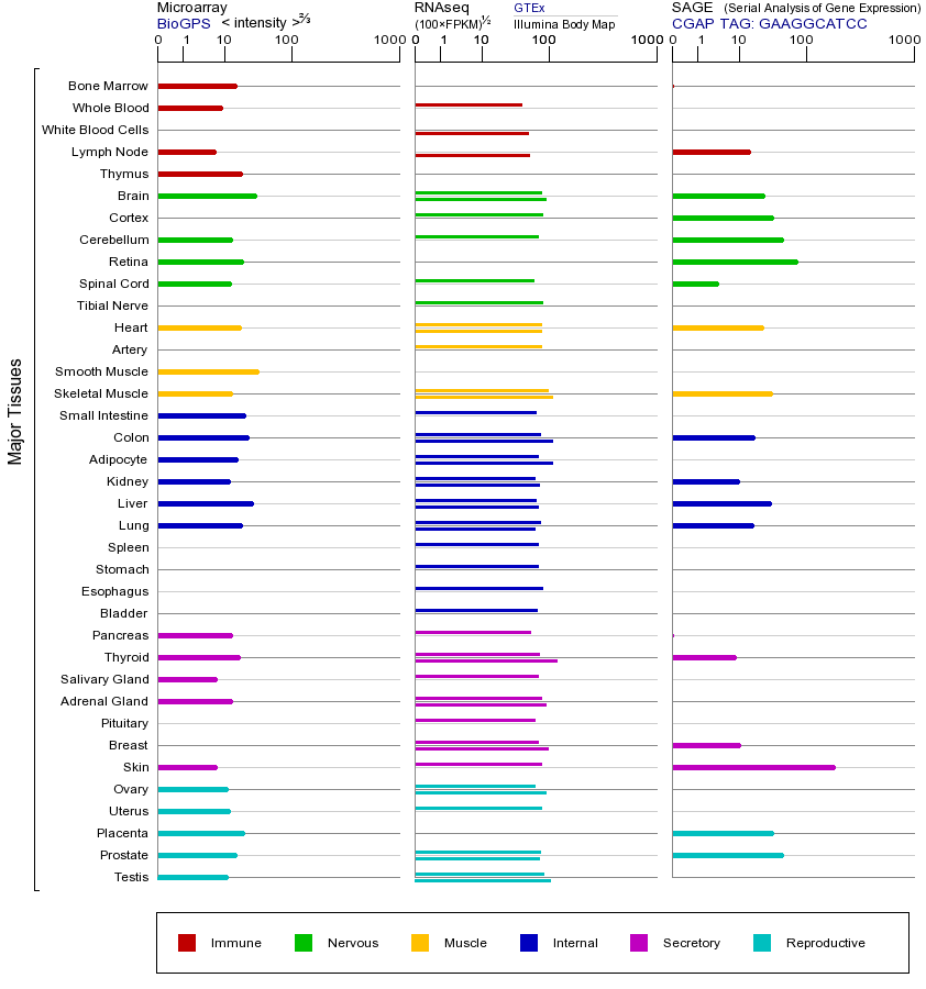 Gene expression across tissues