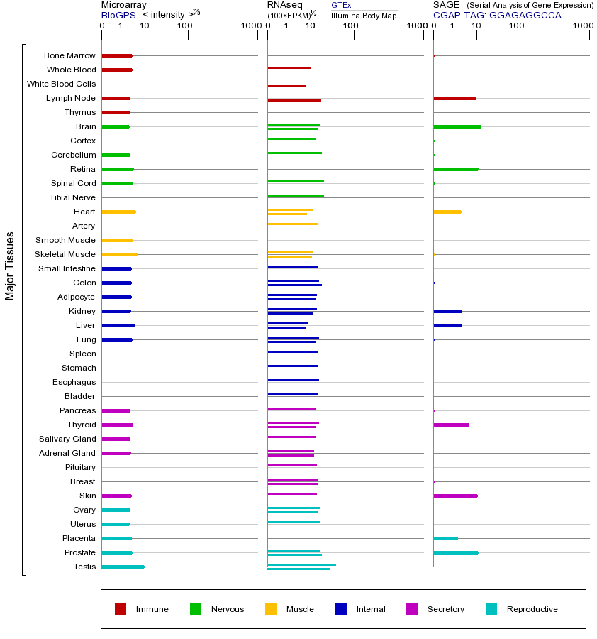 Gene expression across tissues