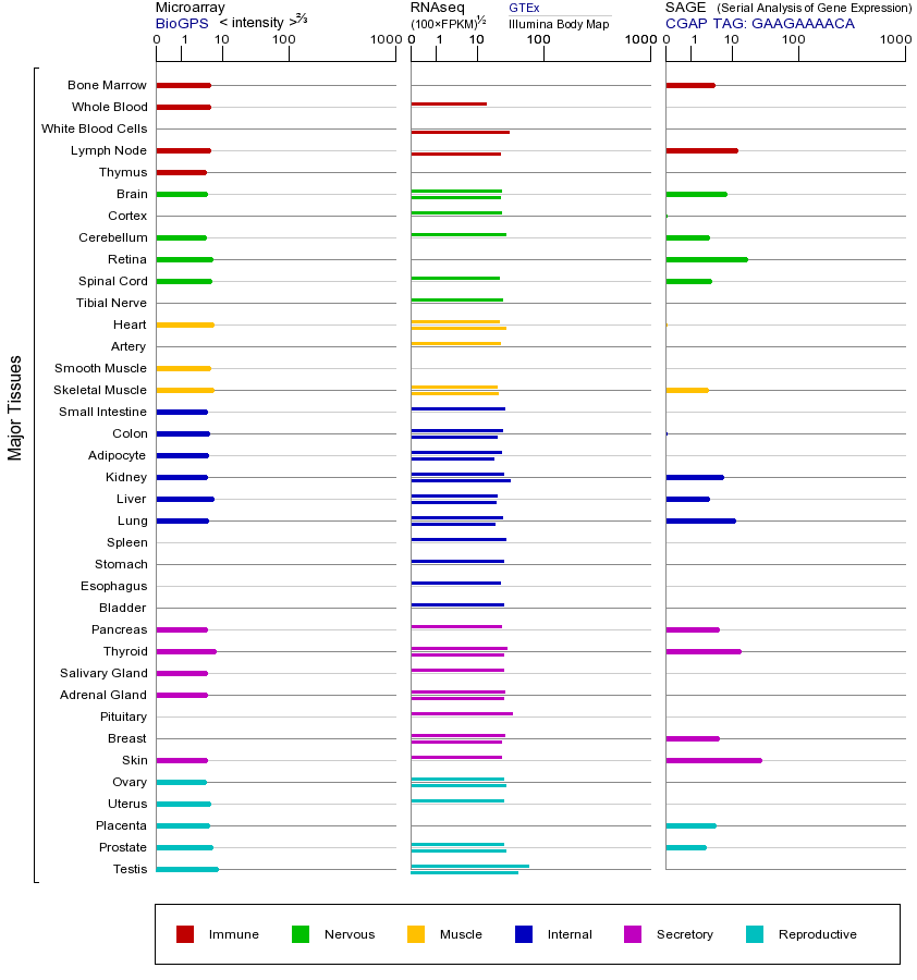 Gene expression across tissues