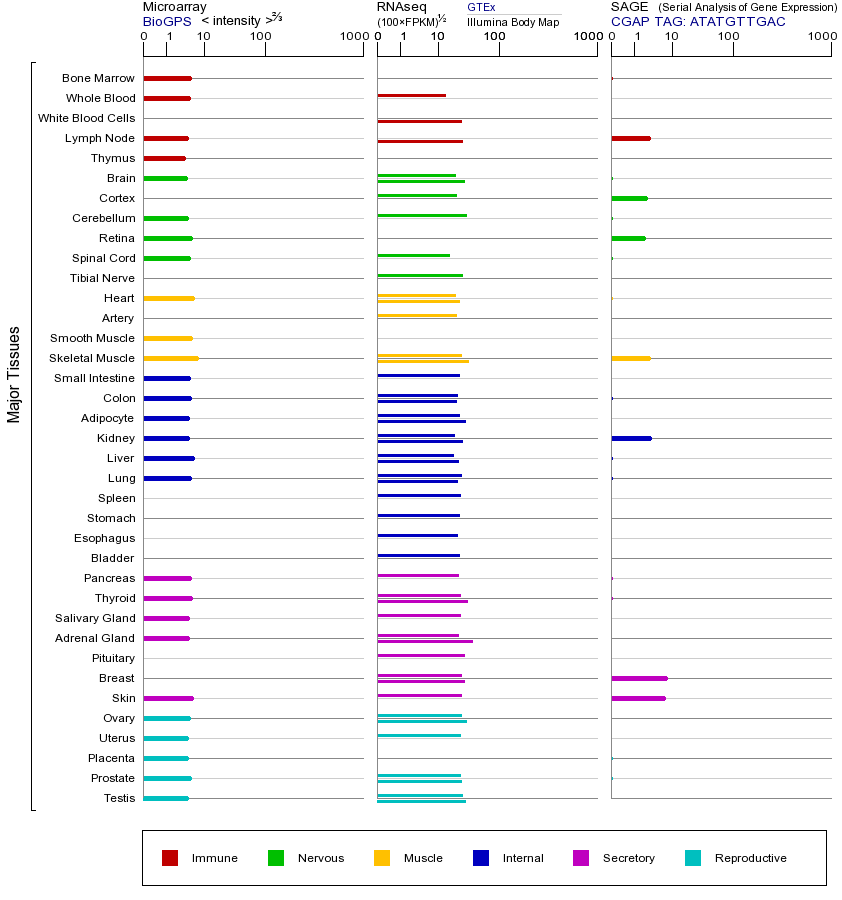 Gene expression across tissues
