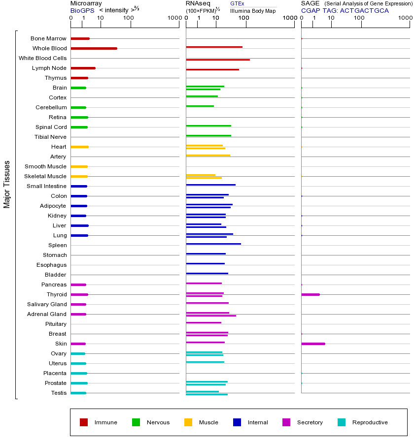 Gene expression across tissues