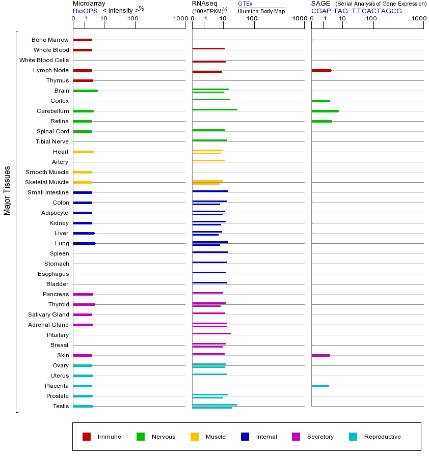 Gene expression across tissues