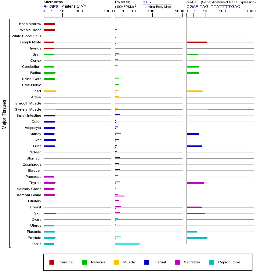Gene expression across tissues