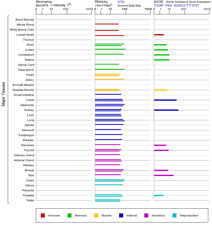 基因在不同组织中的表达图