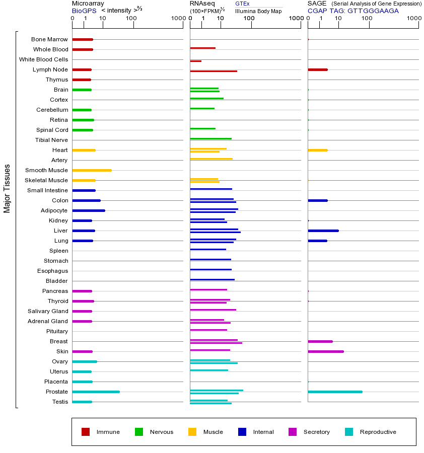 基因在不同组织中的表达图