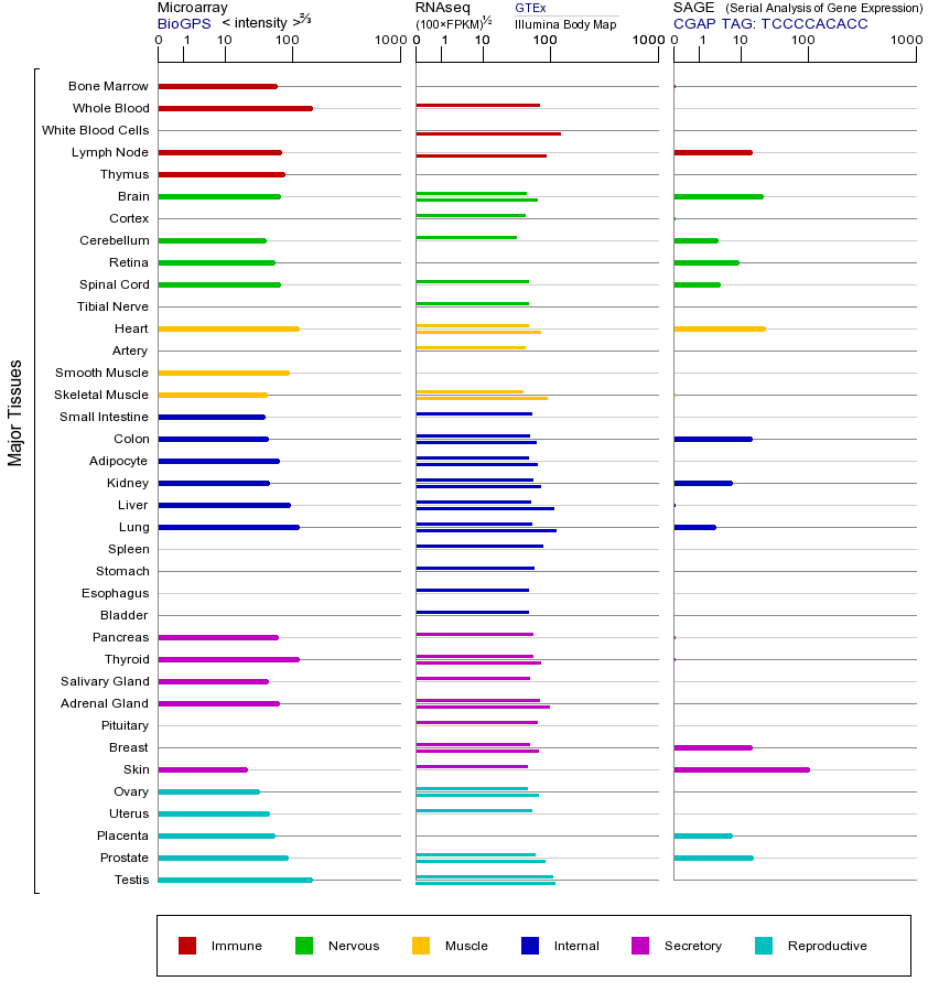 Gene expression across tissues