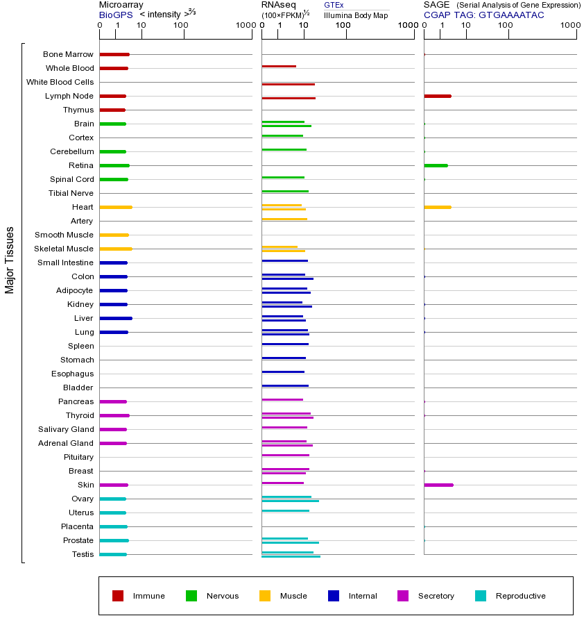 Gene expression across tissues