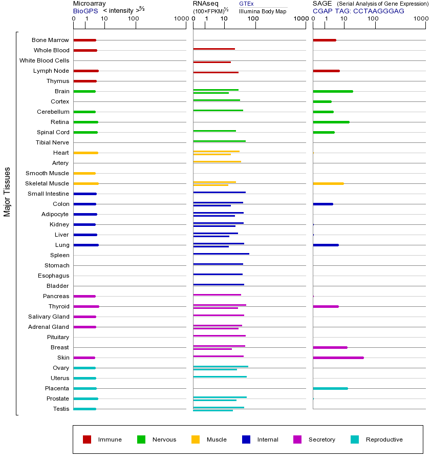 Gene expression across tissues