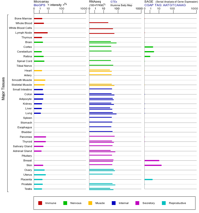 Gene expression across tissues