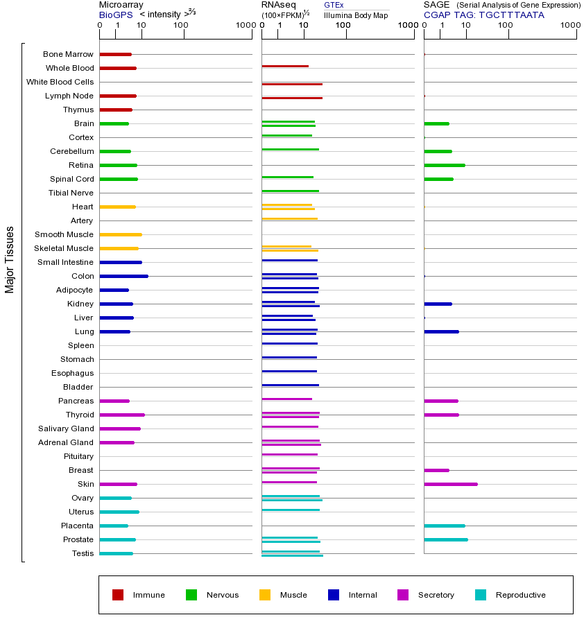 Gene expression across tissues