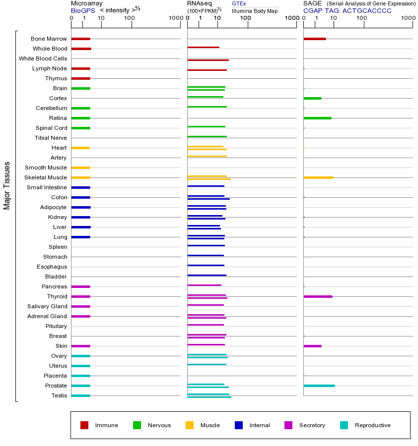Gene expression across tissues